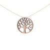 Liv Halskæde Sølv øreringe | Bæredygtige træ øreringe | Designer træ smykker i sølv | DIBB Design